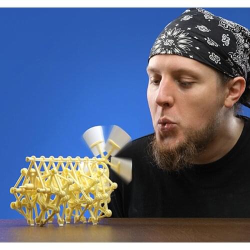 The wind bionic beast Creative high-tech childrens gifts Kids science and technology toys novelty fun puzzle