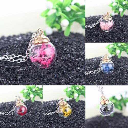 Bespmosp Fashion Jewelry Real Dry Dried Flower Plant Pink Rose Black Blue Glass Bottle Pendant Necklace Link Chain Women Girl