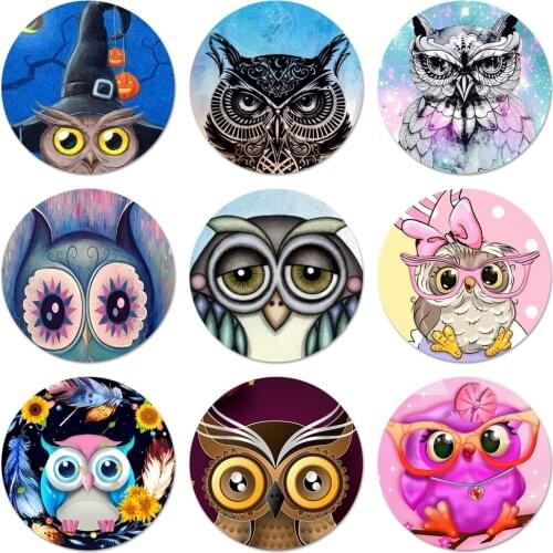Animal Cute Cartoon Owl Brooch Pin Cosplay Badge Accessories For Clothes Backpack Decoration Gift 58mm