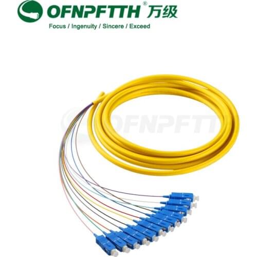 SC Fiber Optic Pigtail 12 cores Singlemode Bundle Pigtail 3m