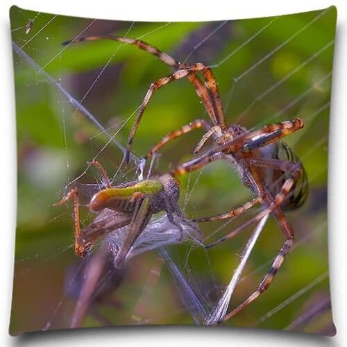 The spider in the hunt Cotton/polyester Home Car Decor Couch Insect butterfly pattern Square Cushion Cover For Sofa Decorative