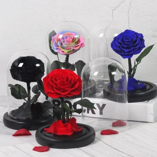 Flower Eternal Preserved The Beauty And Beast Rose In Glass Dome wedding Decoration Valentines Day Christmas Day Gift