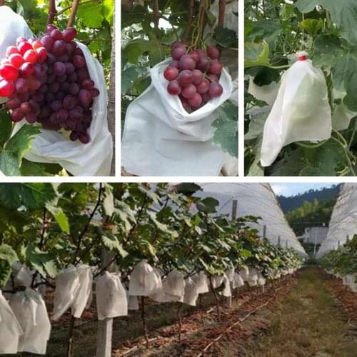 40Pcs Grape Protection Bag Anti Bird Non-woven Bag Reusable Grow Bag Mesh Bag Pouch for Grape Apple Fruit Vegetables