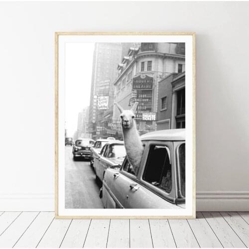 Llama in a taxi on Times Square Canvas Print and Poster Vintage llama Print New York City Photo Picture Wall Art Home Decor