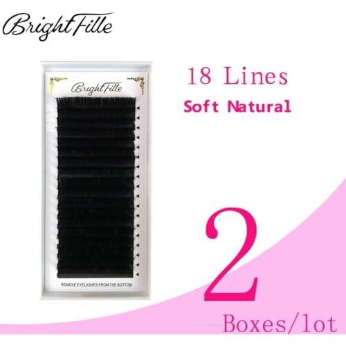 2 Boxes Lashes Extensions 18Rows Faux Mink Eyelashes Individual Eyelash Lashes Soft Eyelash Extension False Eyelash