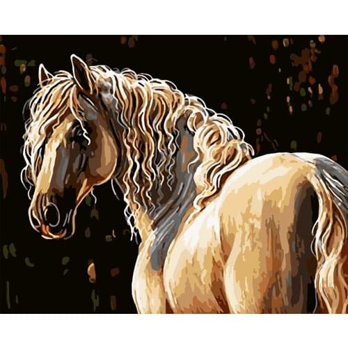 DIY 40X50cm Oil Painting By Numbers White horse DIY Paint by numbers On Canvas Home Decor Digital Painting chrismas