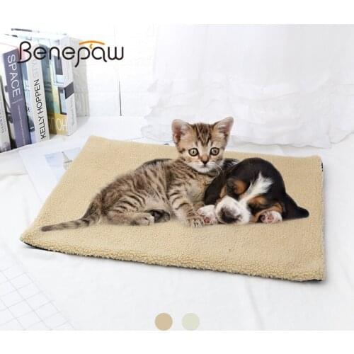 Benepaw Furniture, Carriers For Cats