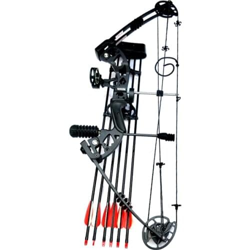 Archery 30-70 Lb Composite Pulley Bow Adjustable Labor-Saving Structure Hunting Outdoor Sports Hunting Shooting