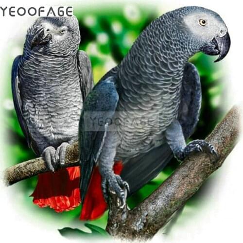 Full,square,Diamond Embroidery,parrot,Animals, 5D,DIY,Diamond Painting,Cross Stitch,5D,Diamond Mosaic,Decoration,Christmas