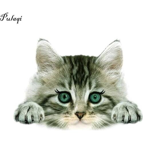 3D Cute Cat Animal Patches Thermo Stickers On Clothes Iron On Transfers For Clothing Heat Transfer Stickers T-Shirt For Woman F