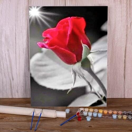 Flower Rose DIY Painting By Numbers Set Oil Paints 40*50 Oil Painting Decorative Paintings For Adults Wall Handicraft
