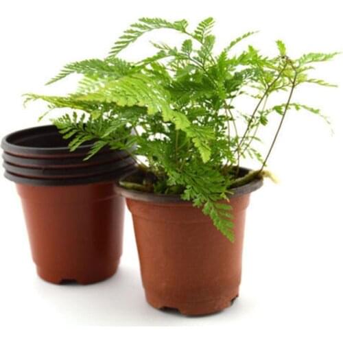 10 Pcs Small Plastic Round Flower Pot Nursery Planter Home Decor