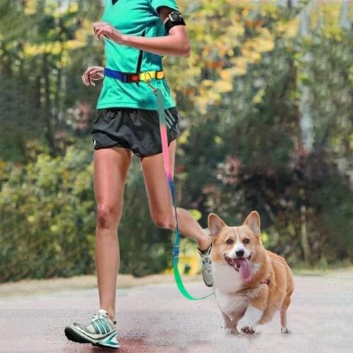 Inspaws Leashes For Dogs