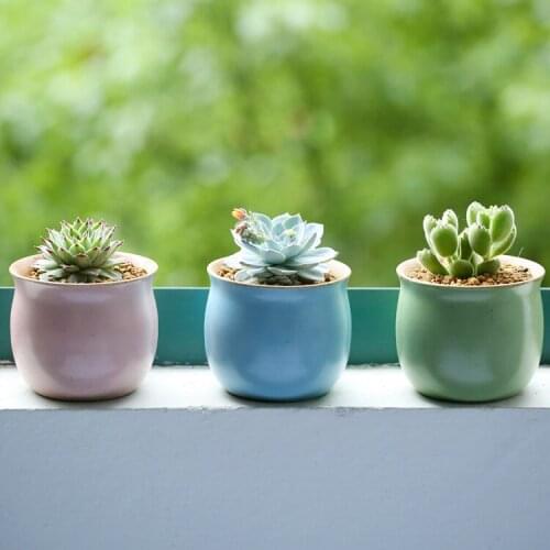 Desktop Creative flowerpots pOTTERY Classic Garden Planter Flower Pot Not Including Planters Small Simple Pots
