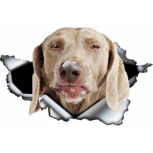 S50077# 13/15/17CM Personality PVC Decal Weimaraner V3 Waterproof Car Sticker on Motorcycle Laptop Decorative Accessories