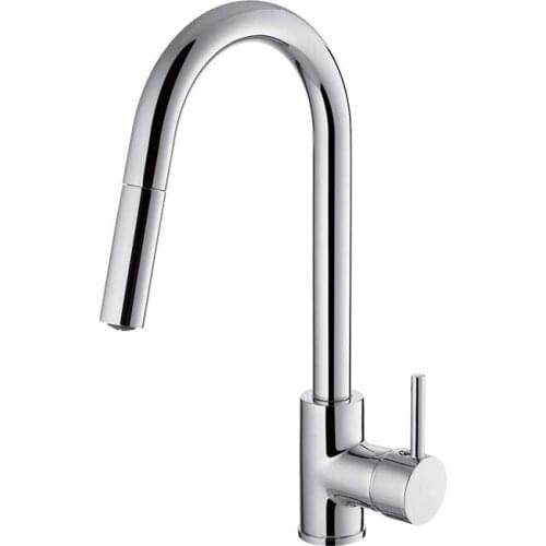 Diplon Kitchen Faucets For Drinking Water