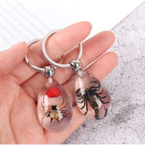 New Transparent Insect Keychain Insect Keychain Real Insect Specimen Party Gift Pendant
