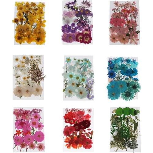 Pressed Flower Mixed Natural Dried Flowers DIY Art Floral Decors Collection Gift