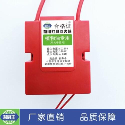 Open Flame, Gas, Bio-oil, Vegetable Oil, Fry Stove, Large Pot Stove, Special Igniter (delay 12 Seconds)