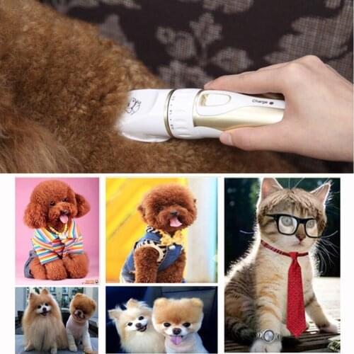 Professional Rechargeable Pet Cat Dog Hair Trimmer Electrical Dog Hair Clipper Grooming Shaver Set Pets Haircut Machine