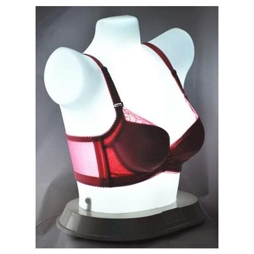 New Fashion Female Underwear Dispaly Chest Mannequin Lingerie Mannequin For Display Bra