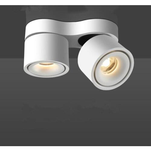 Dimmable LED Downlight 30W 40W Surface Mounted 2x15W 2x20W COB LED Ceiling Lamps LED Spotlight Rotatable Adjustable Indoor Light