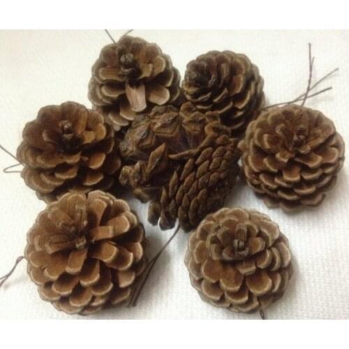 Christmas tree decorations and the United States / floral flowers / primary color pine cones with wire decoration