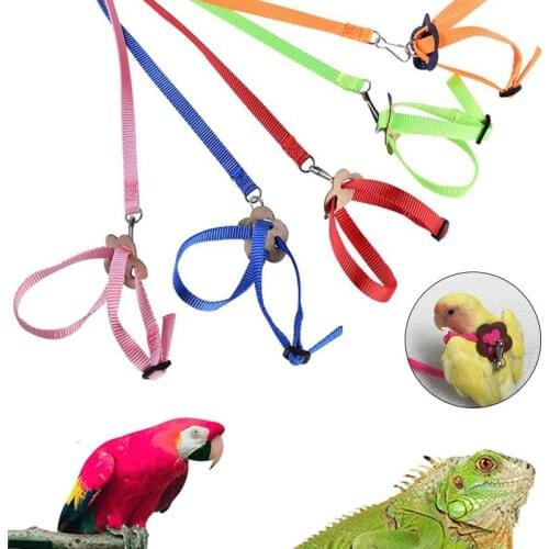 Adjustable Small Animals Towing Rope for Pet Parrot Hamster Squirrel Hot Pet Products Squirrel Guinea Pig