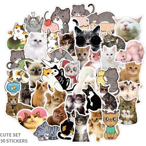 50pcs Cute Cat stickers for computer notebook laptop Kawaii Ragdoll persian Decal Sticker Gift Toy for Kids Suitcase Bicycle