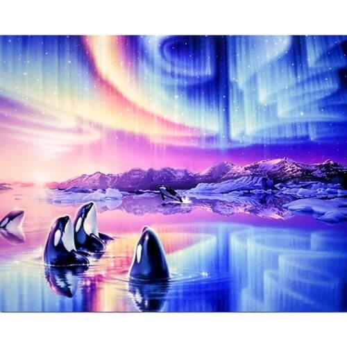 5D DIY Full Square Diamond Painting Porpoise Aurora Embroidery Cross Stitch Rhinestone Mosaic Home Decor Picture Factory Direct