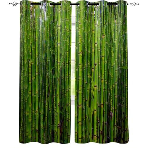 Bamboo Forest Green Bamboo Plant Window Curtains Bedroom Kitchen Drapes Panel Home Decor Curtains for Living Room