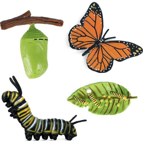 Hot Sale New Insect Animals Model Simulation Butterfly Growth Cycle Action Figures Figurine Miniature Educational Cute Kids Toys