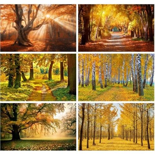 Laeacco Autumn Old Tree Sunlight Scenic Photography Backgrounds Customized Photographic Backdrops For Photo Studio