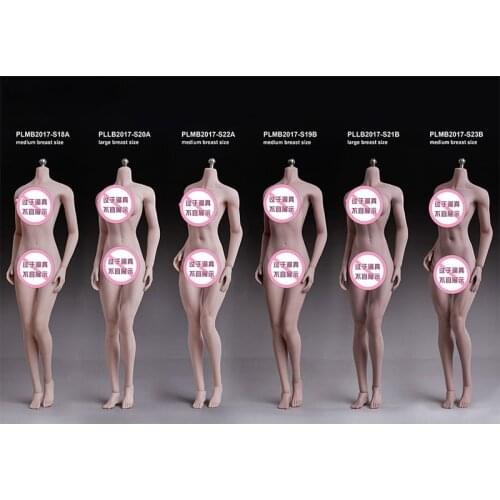 1/6 Scale SFD Pale or Suntan Skin DIY Woman Figures Body Accessories Tall 27cm BJD Action Figure Doll Silicone Model Toys C1206