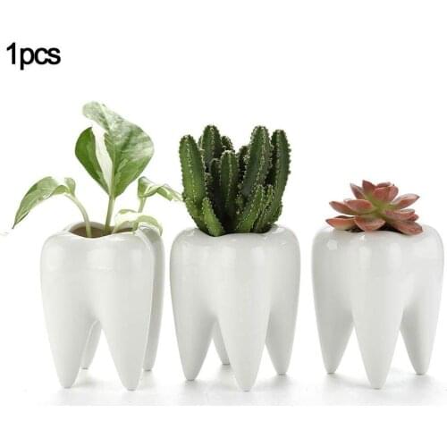 1Pcs Tooth Shaped Tabletop Ceramic Flowerpot Home Furnishings Cute Succulent Cactus Flower Pot Plant Nursery Basin Table Vase