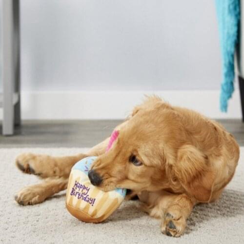 5PC/Set Durable Dog Chew Toys Soft Plush Pet Birthday Cake Puppy Teething Toys Pet Squeaky Toys Dog Chew Cupcake Pet Supplies