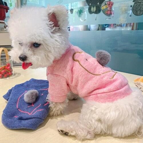 New Fashion Pet Clothes Warm Autumn Winter Plush Cat Clothes Teddy Two Legged Clothes Hairball Nose Bear T-shirt For Small Dogs