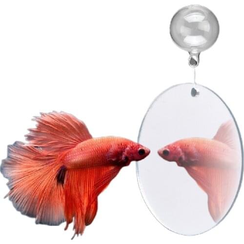 2 Pieces Vastocean Betta floating ball suspension fighting fish training mirror