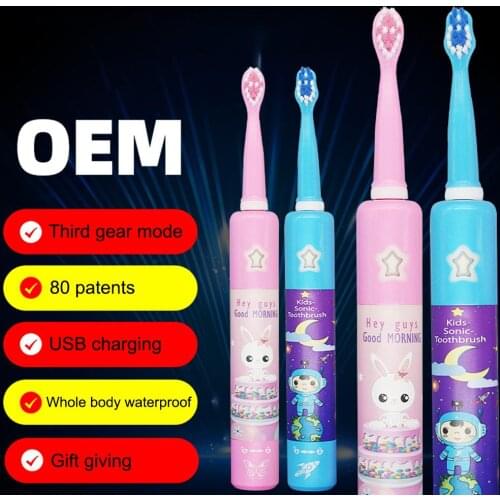 Children Kids Cartoon Waterproof Rechargeable Music Sonic Electric Toothbrush Oral Hygiene Cleaning Products