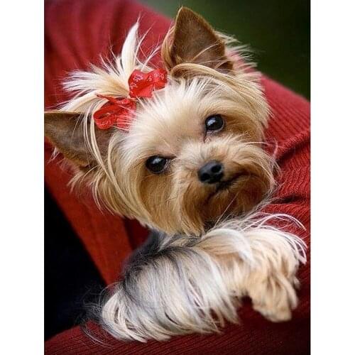 Red Bow Dog Animal Embroidery Kit Needlework Craft Set Canvas Printed Cotton Thread Home Decor Christmas Gift For Living Room