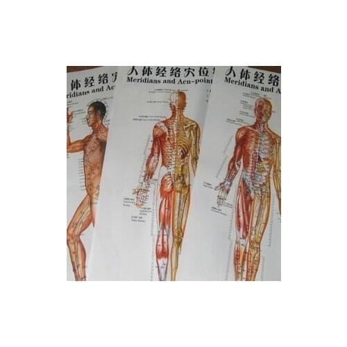 3 Pieces/set Standard Meridian Acupoint Acupuncture Chart Standard Chart Physical Wall Map The Human Body Chart Meridian Points
