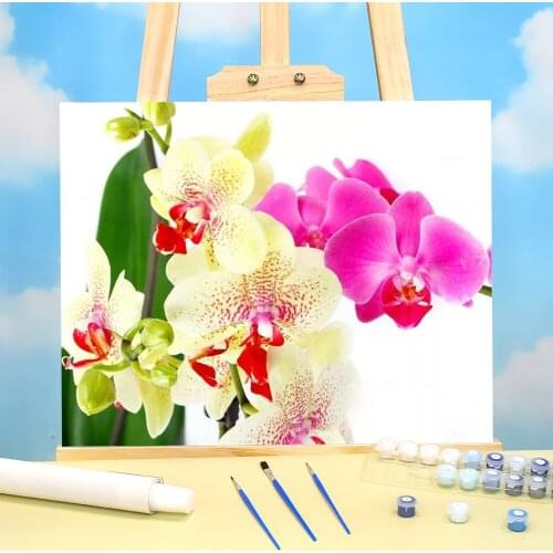 Flower Orchid Painting By Numbers Complete Kit Acrylic Paints 40*50 Paiting By Numbers Handmade Children Handicraft