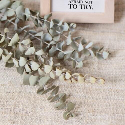 9pcs,Natural Dried eucalyptus leaves Bunches,Display Flowers for Wedding Party home Decoration accessories,flower arrangement