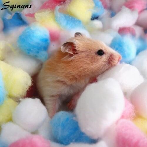 Sqinans Toys For Animals