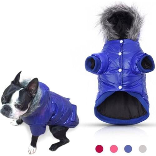 Cute Autumn Winter Pet Dog Clothes Warm Cotton Dog Coat Jackets Sport Style Puppy Fur Hooded Clothing For Small Medium Dogs