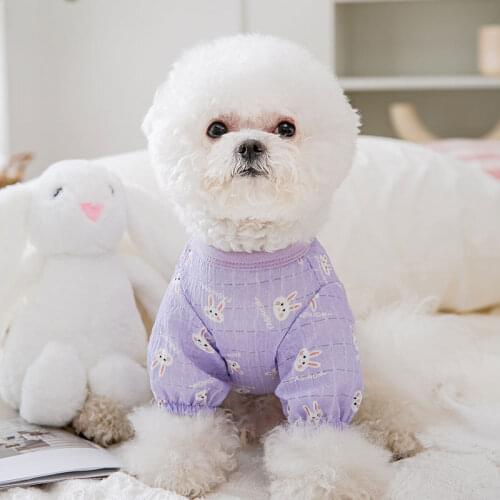 Cartoon Rabbit Ears Dog Clothes Spring and Summer Thin Sling Puppy Breathable Pullover Cat Corgi Vest Pet Products