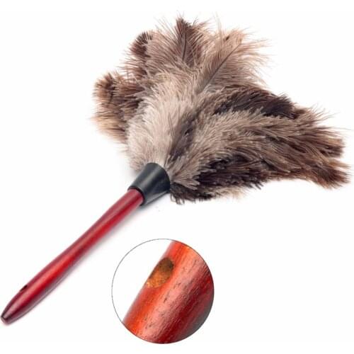 Arshen Dust Brushes