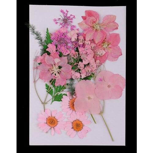 Multiple Press Sheets Leave Real Pressed Dried Flowers for DIY