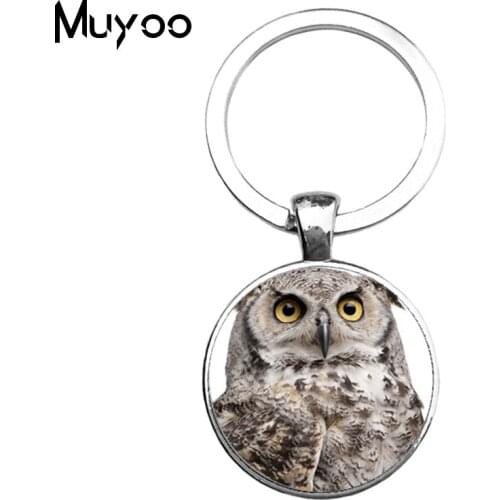 2017 New Hang Bag Lovely Keychain The Owl Car Jewelry Accessories Fashion Lady Metal Key ring Tide Brand keychain