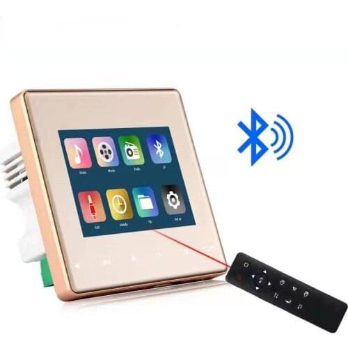 Host Panel Smart Home Background Music Stereo Sound In Wall Mounted Amplifier